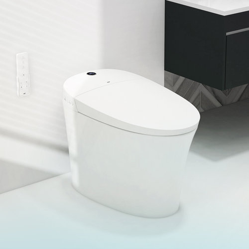 R&T Smart Bidet Toilet for Bathroom, Elongated Tankless Toilet Wayfair